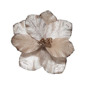 Magnolia Flower Champagne