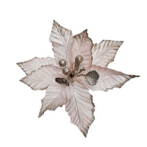 Poinsettia Champagne