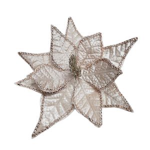 Poinsettia Diamonte Champagne
