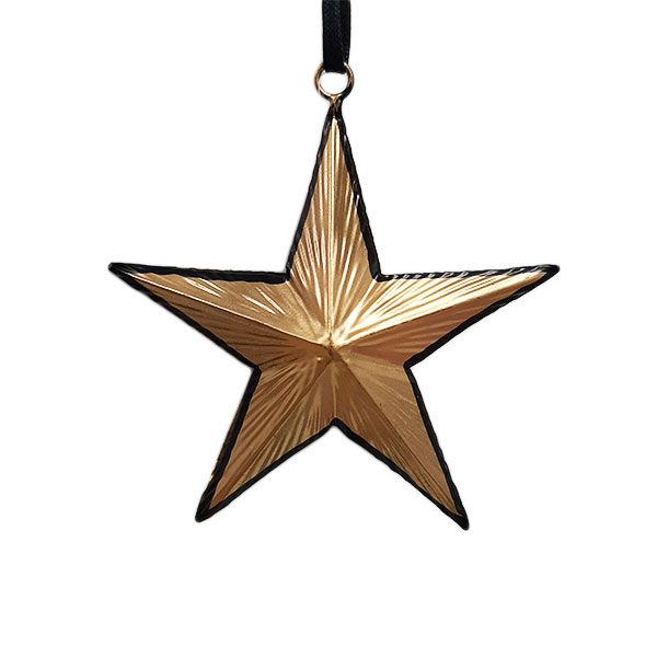 turin-star