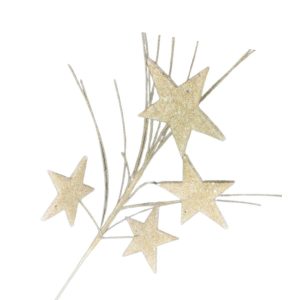 Ivory Star Spray