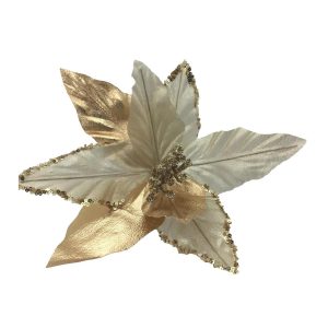 Golden Poinsettia
