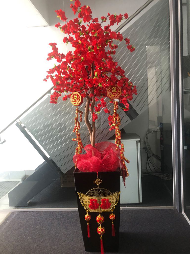 Cherry-blossom-red-in-display-pot-IMG_9800