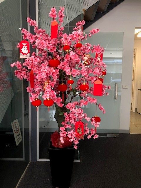 Cherry blossom tree - Bluestone 1